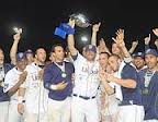 Fortitudo baseball