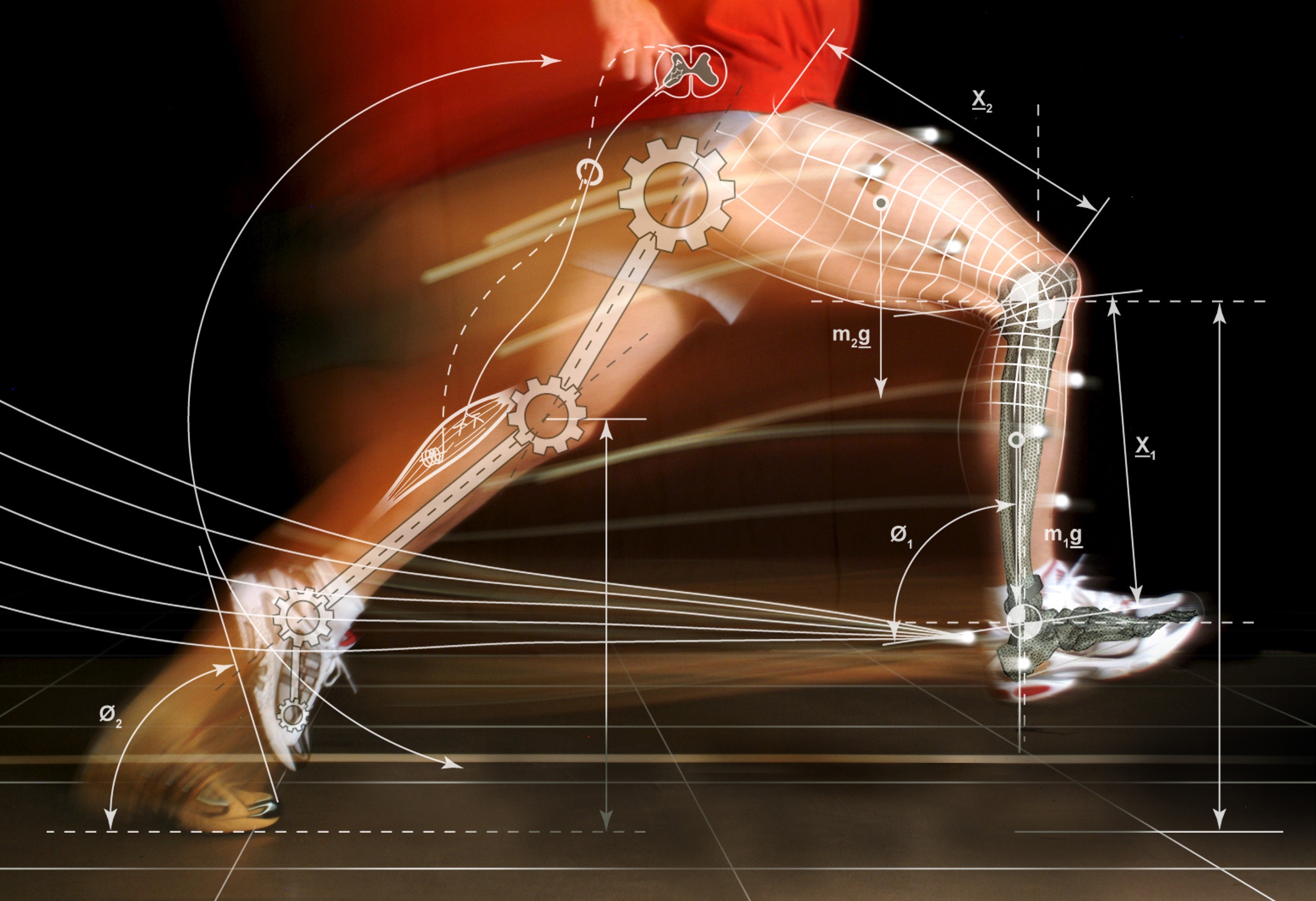 La valutazione delle tecniche sportive: il contributo della ricerca biomeccanica all'analisi della prestazione tecnica